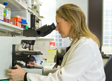 Lab